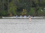 picture 042